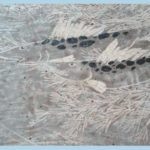 20110716141637photo-070513