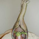 20110716154956photo-020310